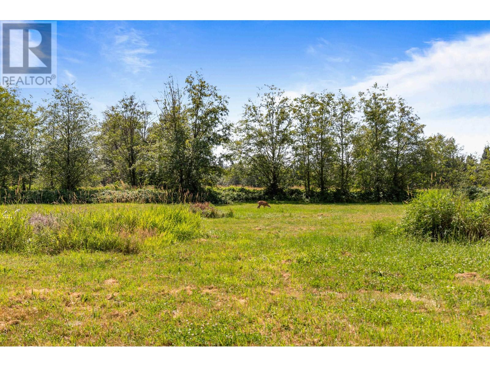 11748 240 Street, Maple Ridge, British Columbia  V4R 1M8 - Photo 14 - R2960529