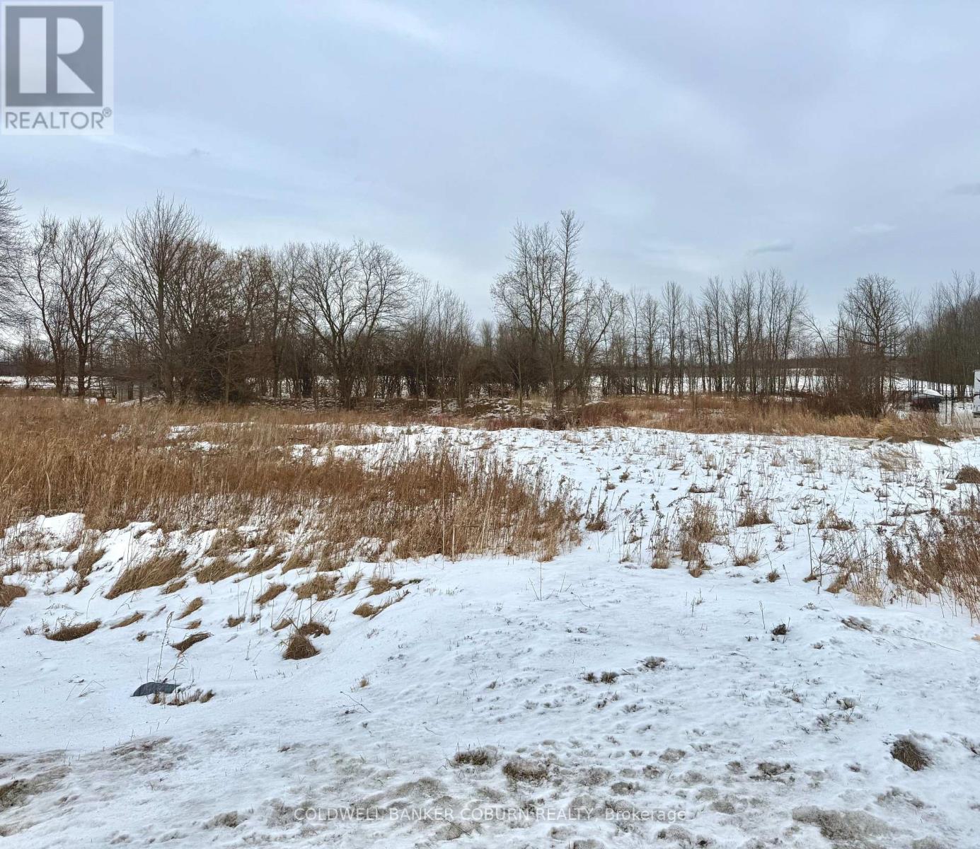 11880 County Road 18 Road, South Dundas, Ontario  K0C 2H0 - Photo 3 - X11942875
