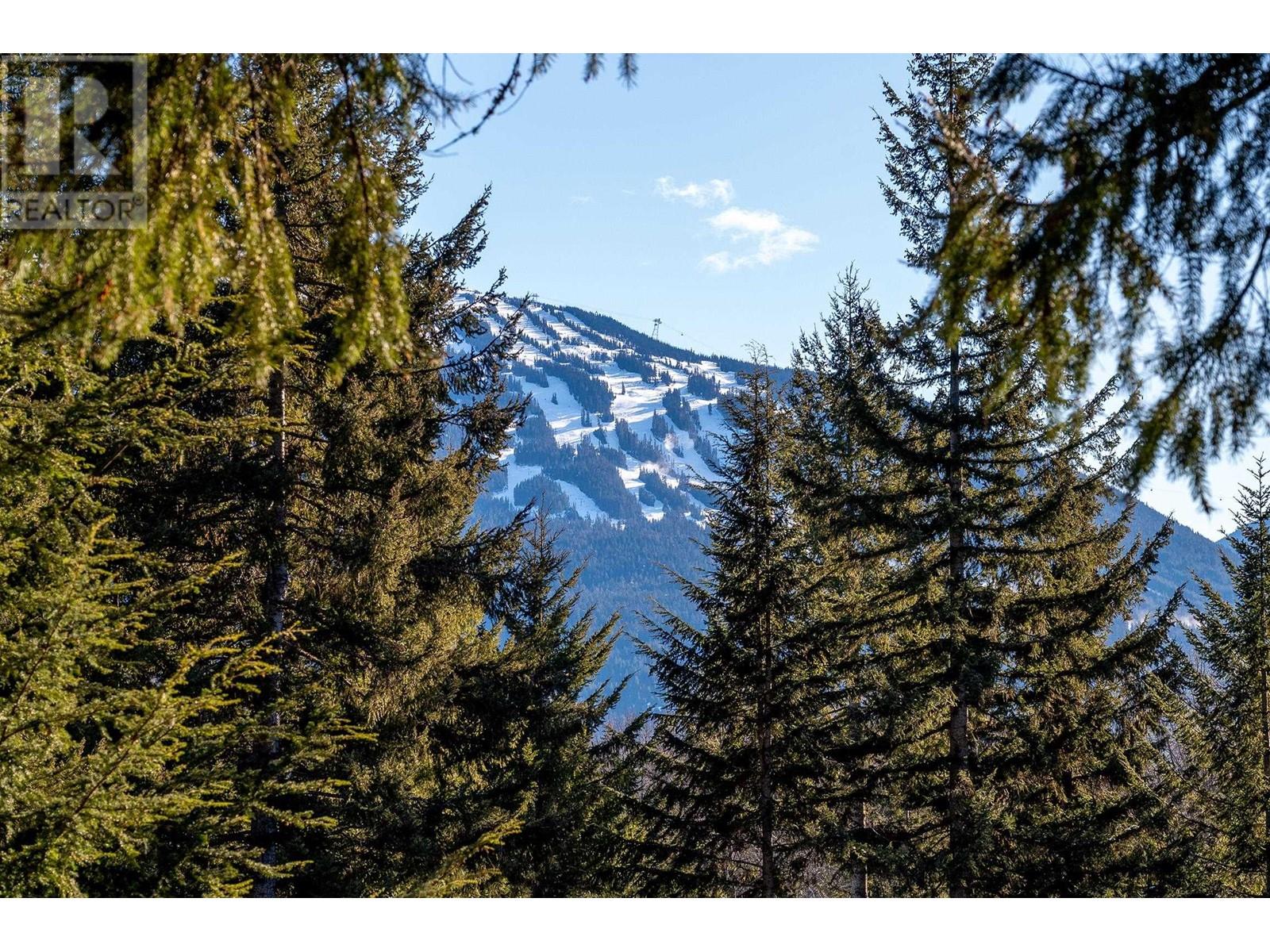 8239 Mountain View Drive, Whistler, British Columbia  V8E 0G3 - Photo 15 - R2945264