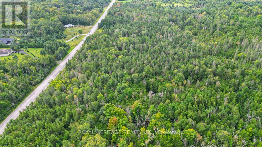 0 County Road 25, Cramahe, Ontario  K0K 1M0 - Photo 12 - X9016807