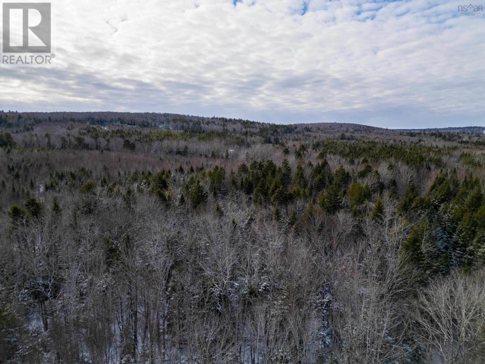 1596 Barr Settlement Road, Barr Settlement, Nova Scotia  B0N 2H0 - Photo 4 - 202501707