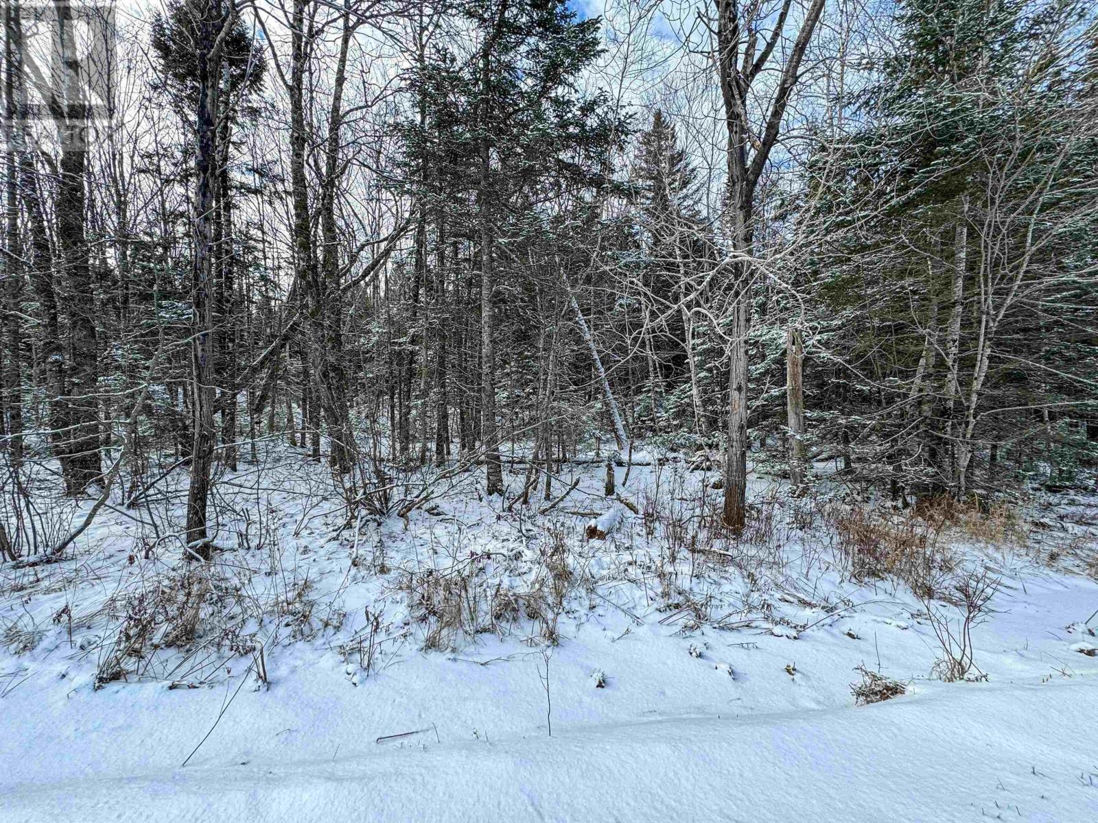 1596 Barr Settlement Road, Barr Settlement, Nova Scotia  B0N 2H0 - Photo 5 - 202501707