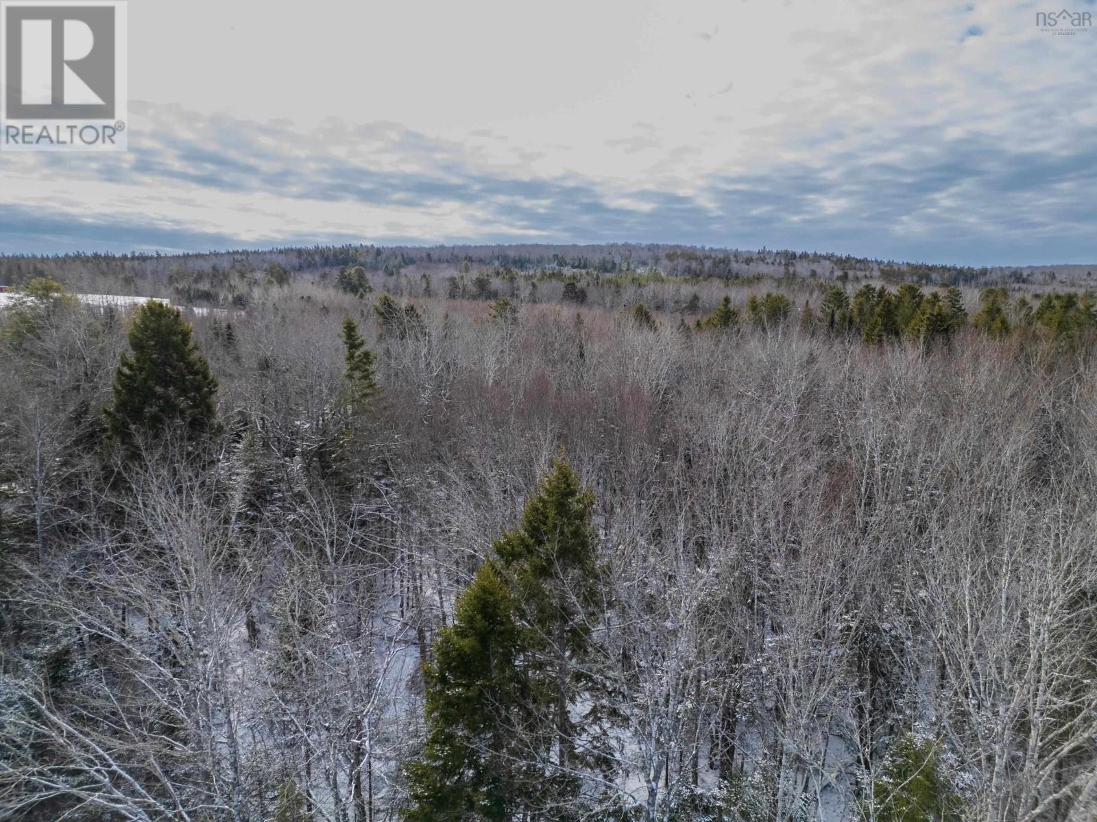 1596 Barr Settlement Road, Barr Settlement, Nova Scotia  B0N 2H0 - Photo 8 - 202501707