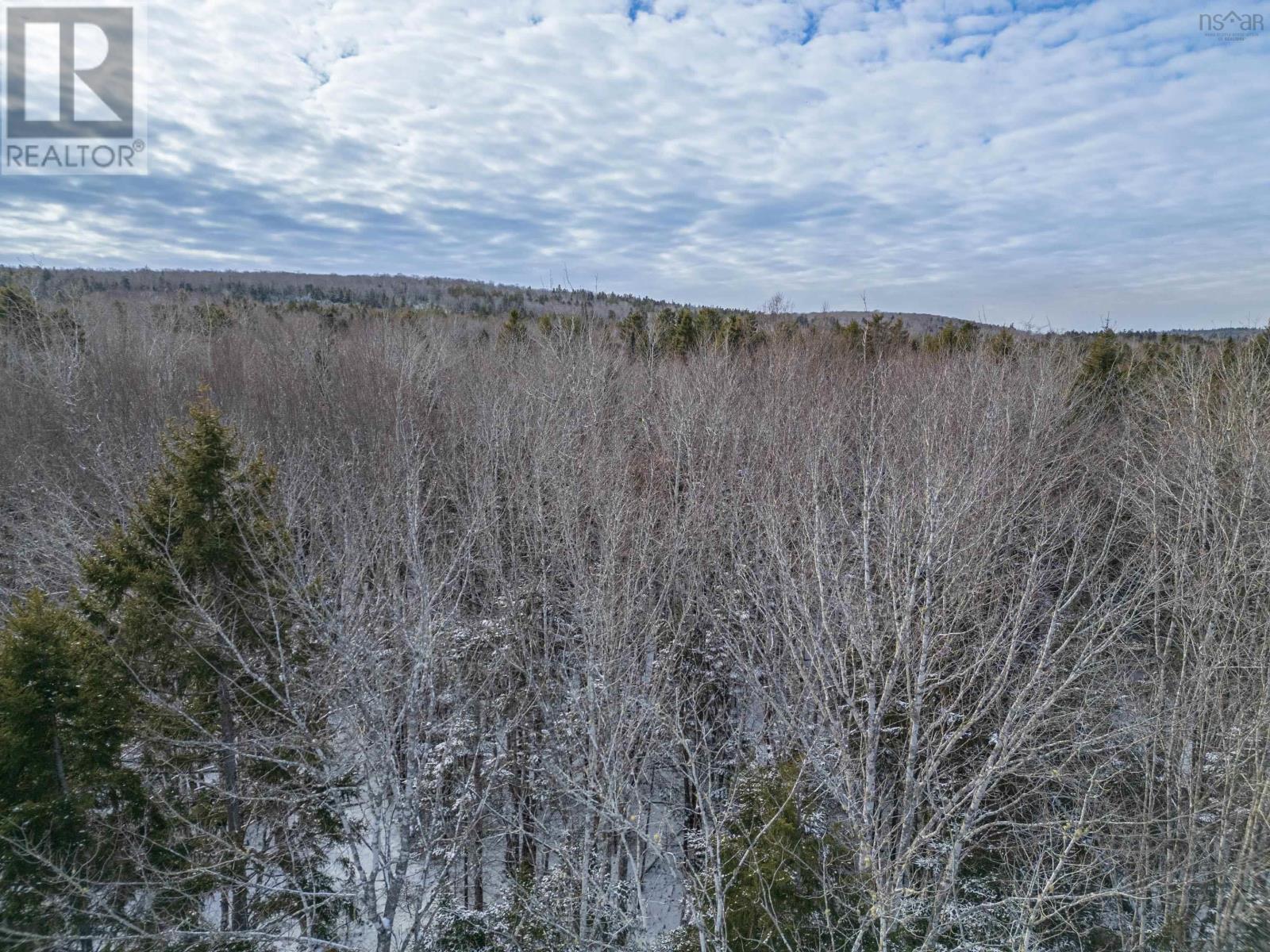 1596 Barr Settlement Road, Barr Settlement, Nova Scotia  B0N 2H0 - Photo 9 - 202501707