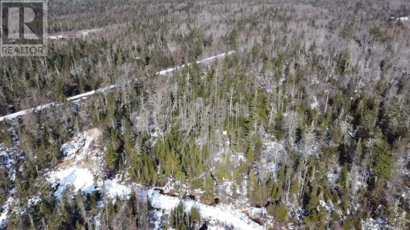 Lots Highway 3, Walls Lake, Nova Scotia  B0T 1V0 - Photo 3 - 202501739