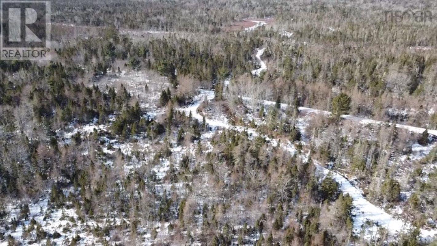 Lots Highway 3, Walls Lake, Nova Scotia  B0T 1V0 - Photo 6 - 202501739