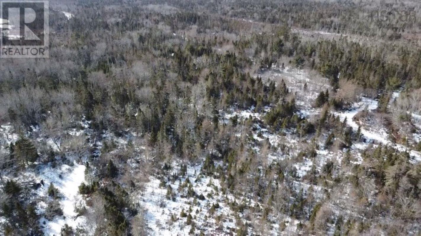 Lots Highway 3, Walls Lake, Nova Scotia  B0T 1V0 - Photo 7 - 202501739