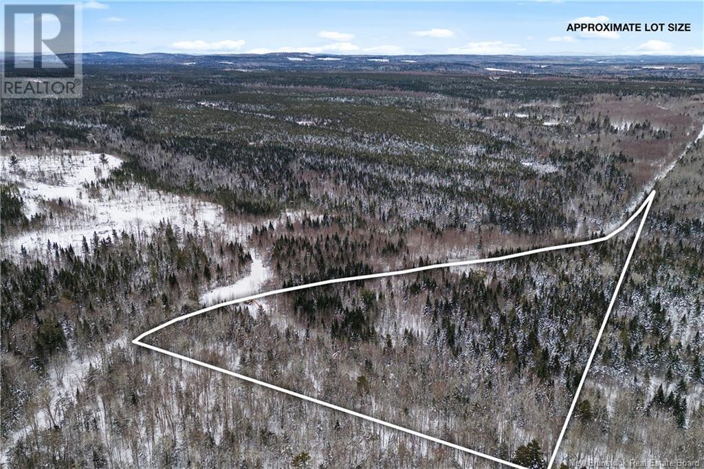 / Annidale Road, Highfield, New Brunswick  O0O 0O0 - Photo 3 - NB111613