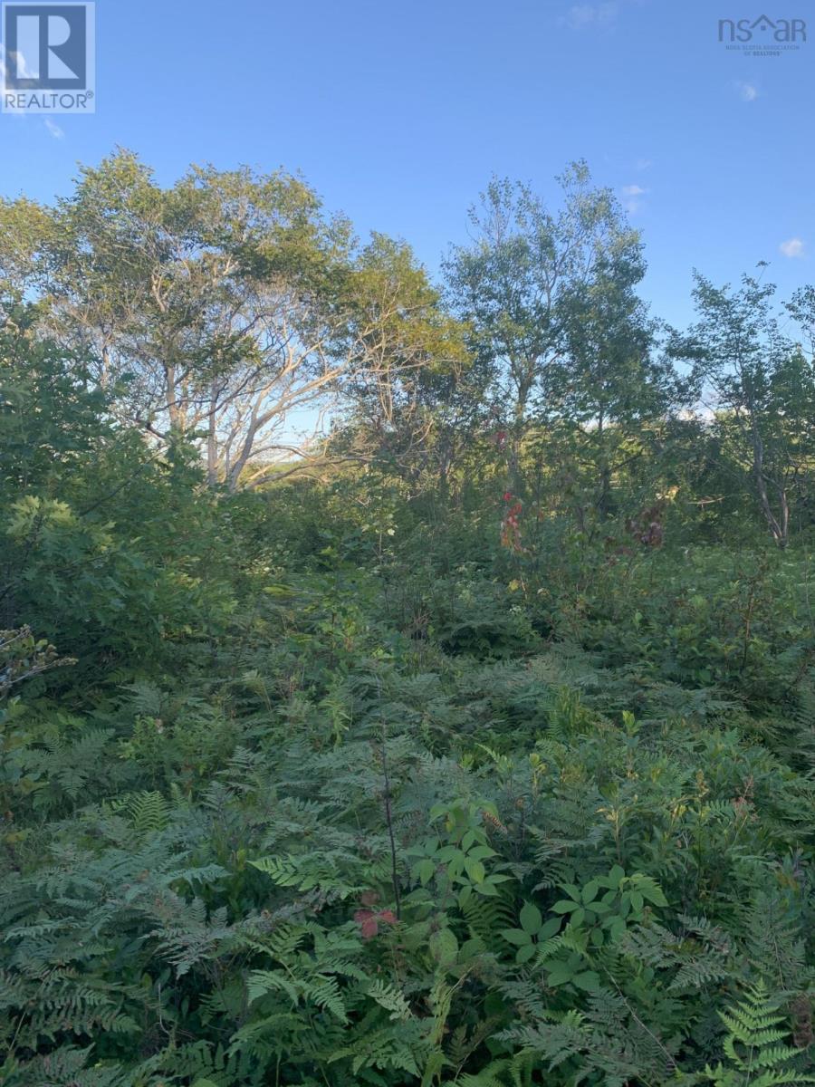 Vacant Lot Memorial Drive, Sydney Mines, Nova Scotia  B2A 0A0 - Photo 2 - 202501747