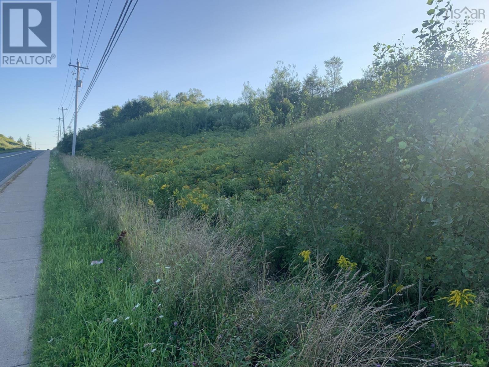 Vacant Lot Memorial Drive, Sydney Mines, Nova Scotia  B2A 0A0 - Photo 3 - 202501747