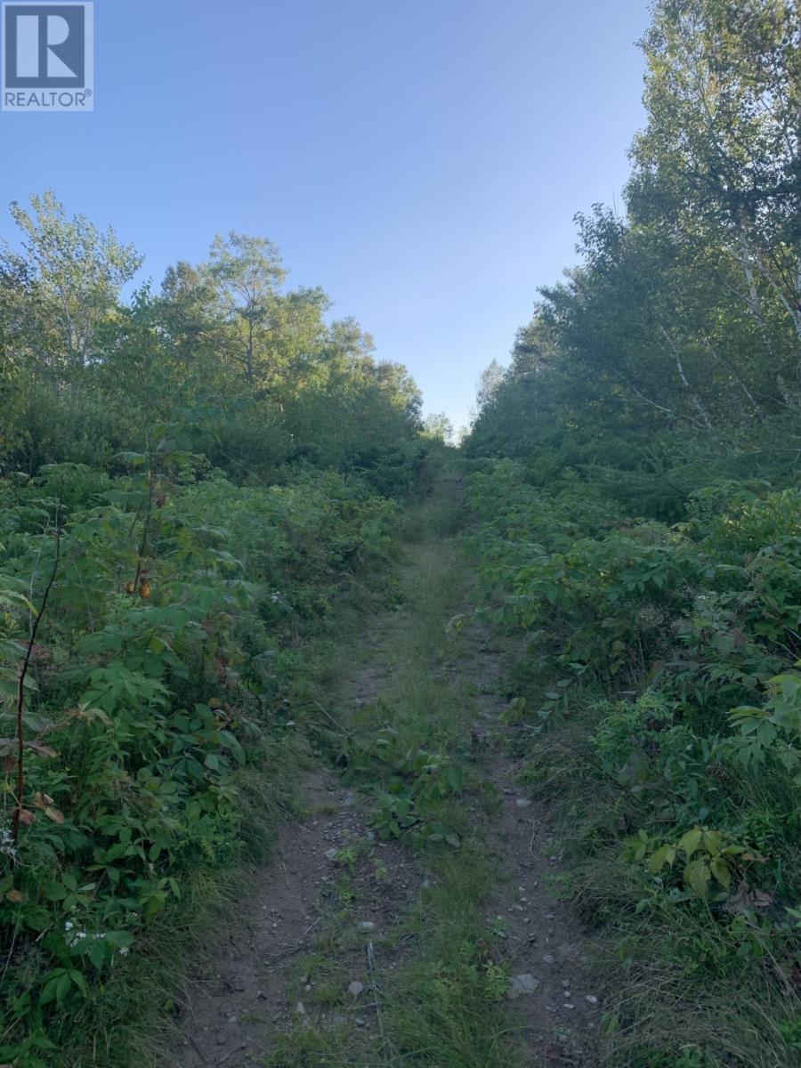 Vacant Lot Memorial Drive, Sydney Mines, Nova Scotia  B2A 0A0 - Photo 4 - 202501747