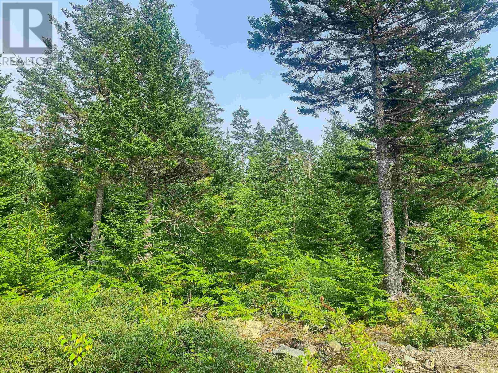 Lot Bonnie Road, Meteghan, Nova Scotia  B0W 2J0 - Photo 14 - 202418385