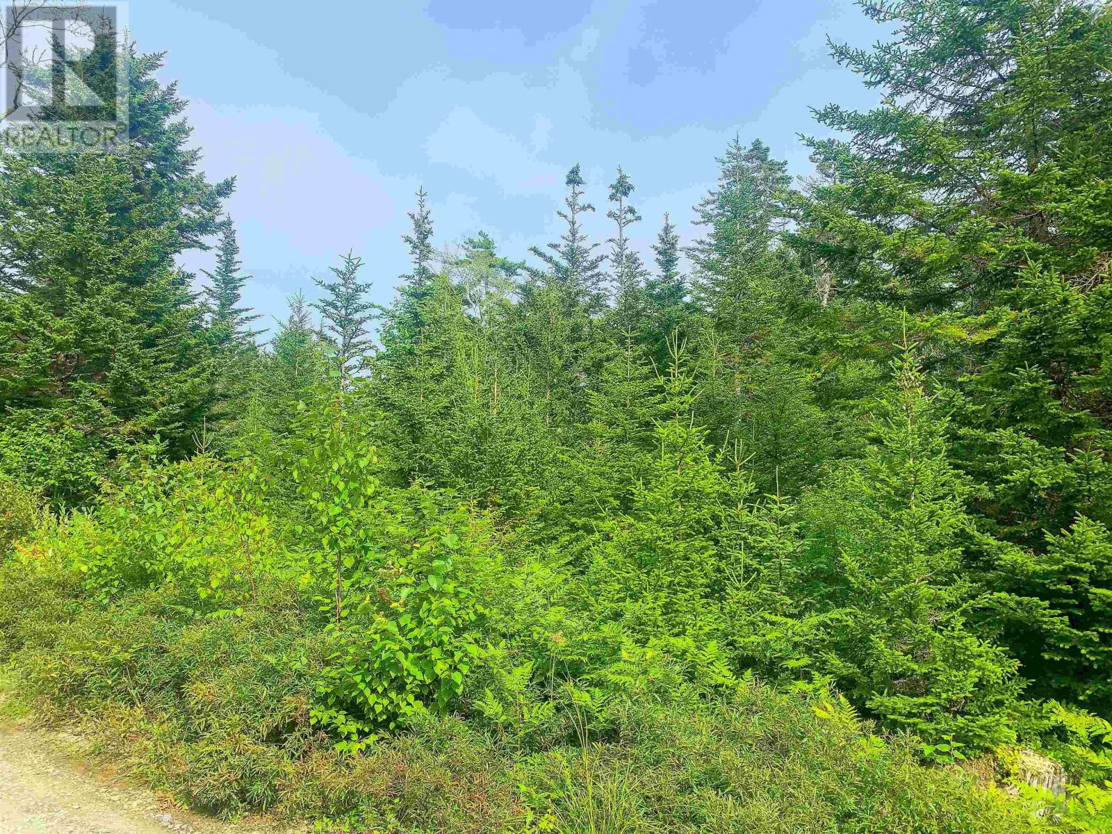 Lot Bonnie Road, Meteghan, Nova Scotia  B0W 2J0 - Photo 15 - 202418385