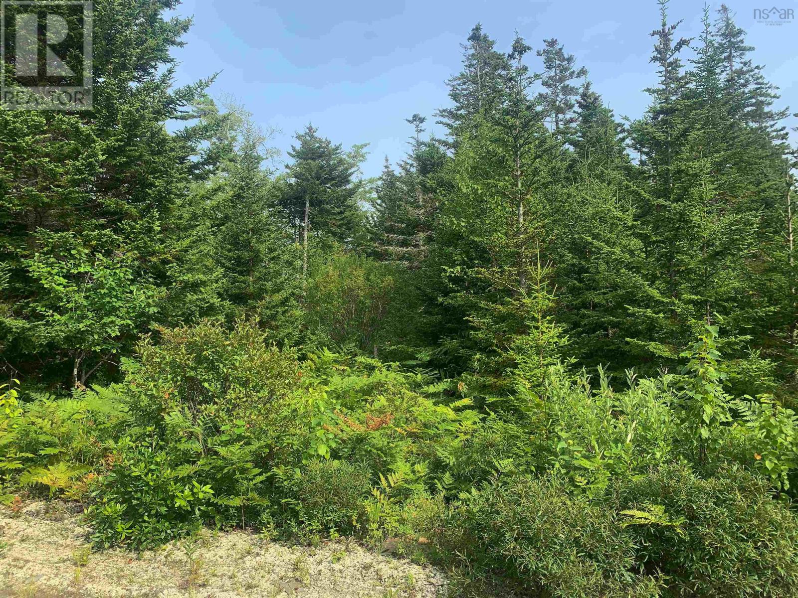 Lot Bonnie Road, Meteghan, Nova Scotia  B0W 2J0 - Photo 16 - 202418385