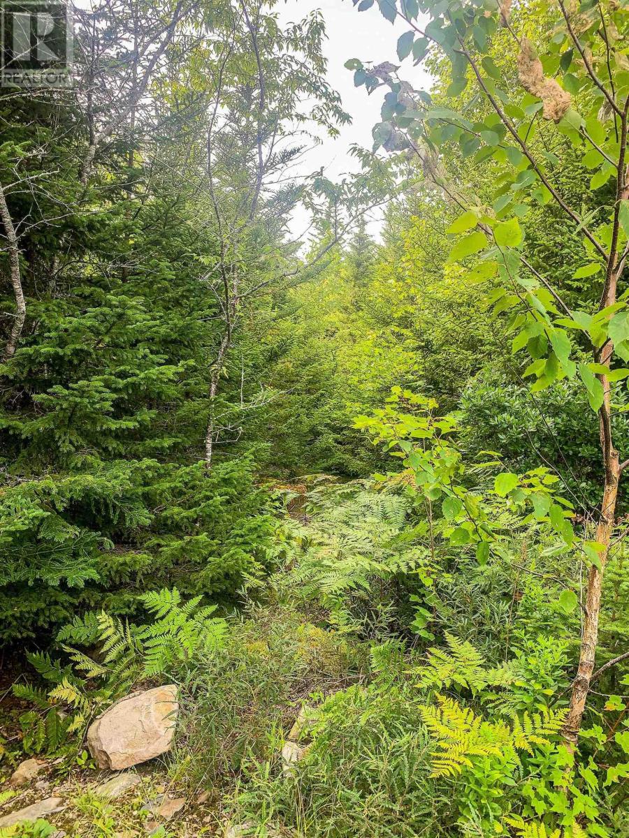 Lot Bonnie Road, Meteghan, Nova Scotia  B0W 2J0 - Photo 18 - 202418385