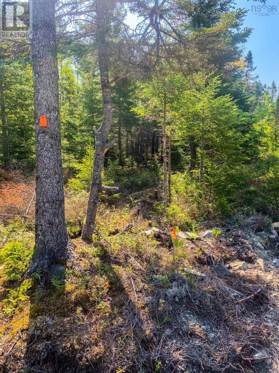 Lot Bonnie Road, Meteghan, Nova Scotia  B0W 2J0 - Photo 20 - 202418385