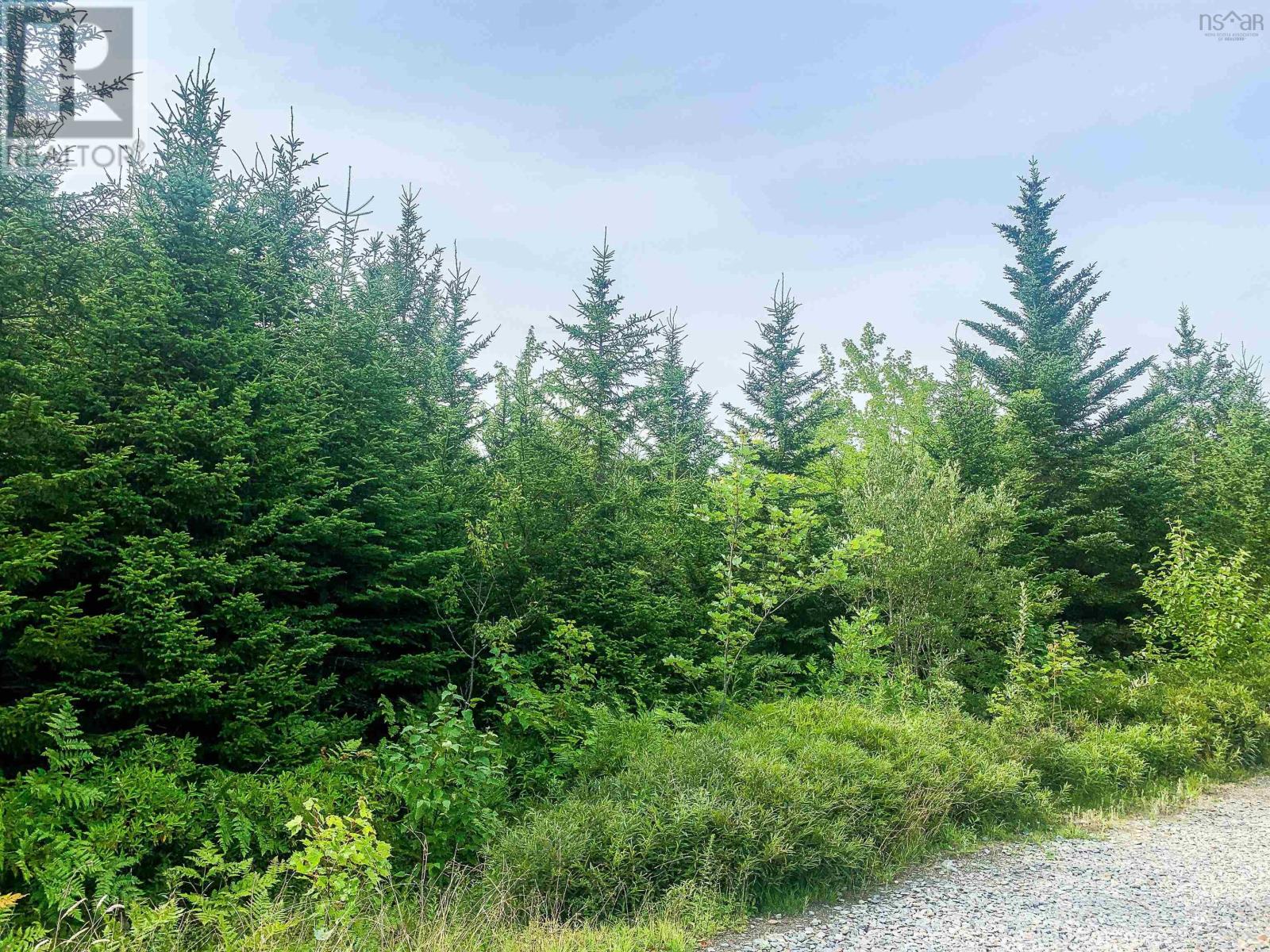 Lot Bonnie Road, Meteghan, Nova Scotia  B0W 2J0 - Photo 8 - 202418385