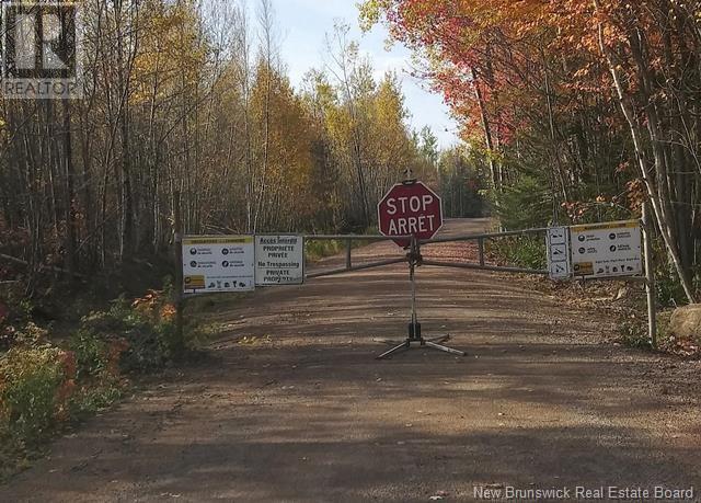 Lot 4 Arsenault Road, Dieppe, New Brunswick  E1A 7J6 - Photo 2 - NB111818