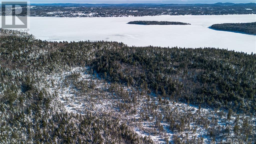 1431 845 Route, Clifton Royal, New Brunswick  E2S 2G4 - Photo 17 - NB111607