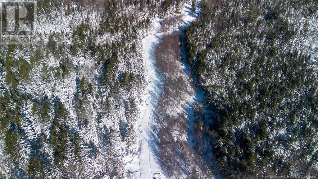 1431 845 Route, Clifton Royal, New Brunswick  E2S 2G4 - Photo 18 - NB111607