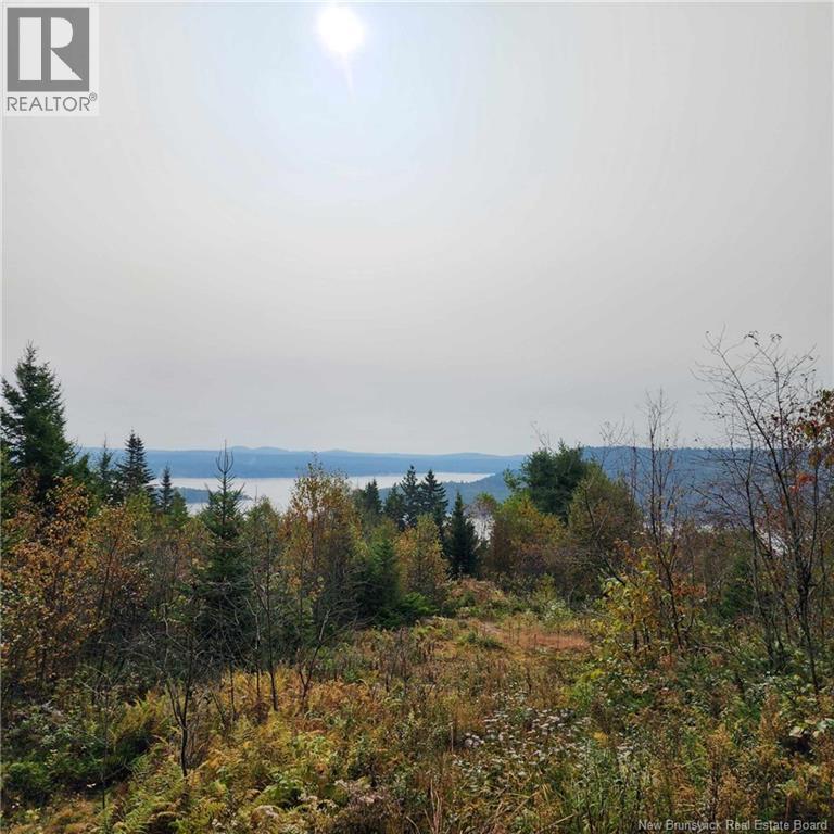 1431 845 Route, Clifton Royal, New Brunswick  E2S 2G4 - Photo 4 - NB111607
