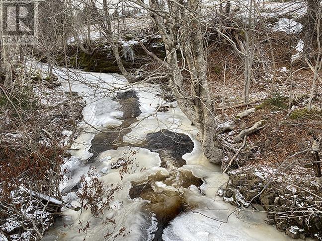 2289 Loch Lomond Road, Loch Lomond, Nova Scotia  B2E 1B9 - Photo 37 - 202501598