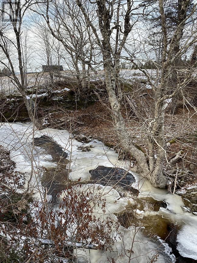 2289 Loch Lomond Road, Loch Lomond, Nova Scotia  B2E 1B9 - Photo 38 - 202501598