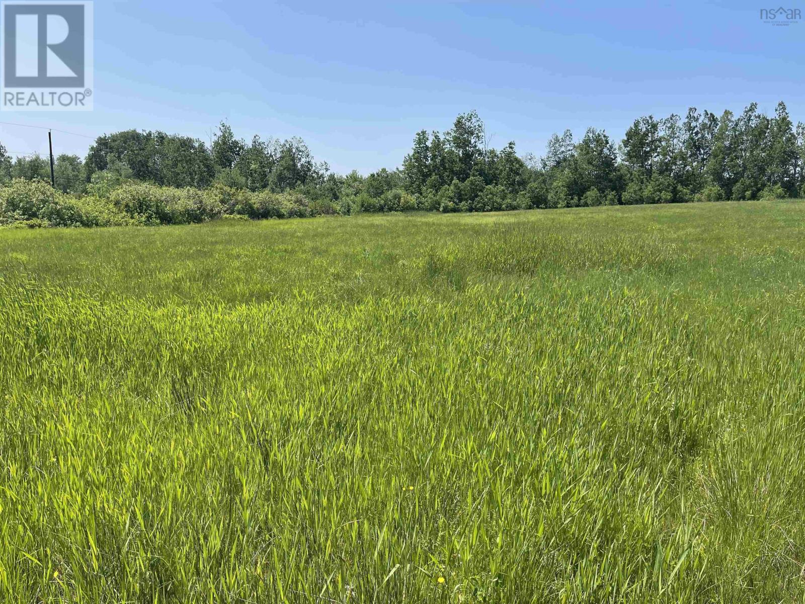 Lot 37 Saltwater Drive, Malagash, Nova Scotia  B0K 1E0 - Photo 6 - 202501773