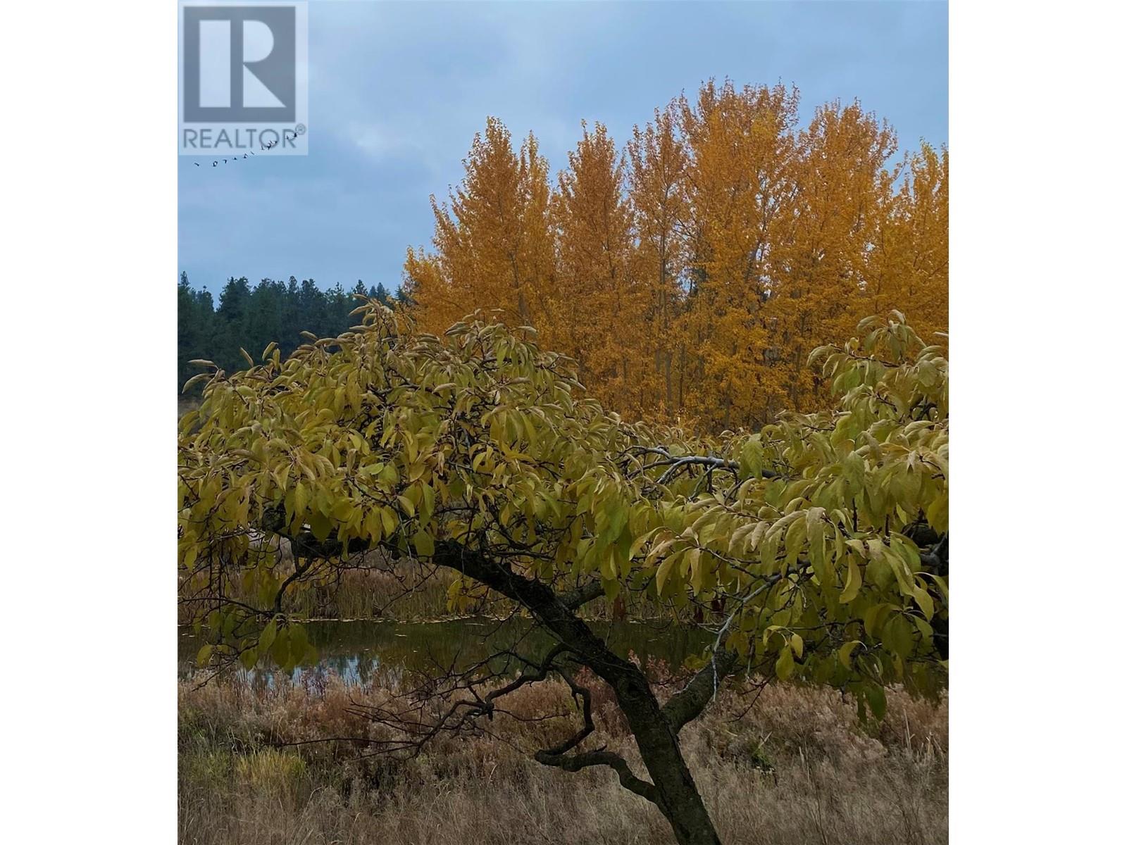 3995 Swamp Road, Kelowna, British Columbia V1W 4M9 - Photo 5 - 10332065