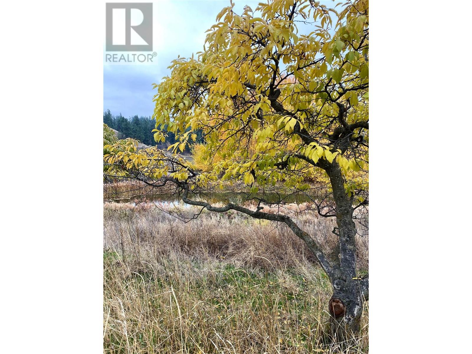 3995 Swamp Road, Kelowna, British Columbia V1W 4M9 - Photo 7 - 10332065