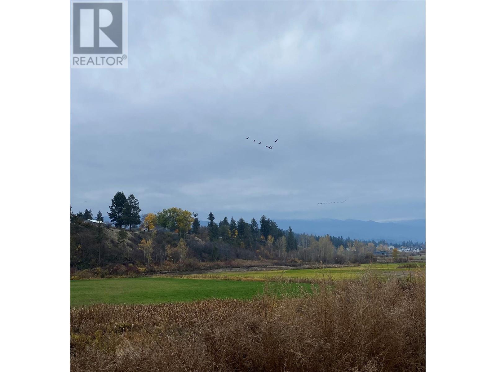 3995 Swamp Road, Kelowna, British Columbia V1W 4M9 - Photo 11 - 10332065