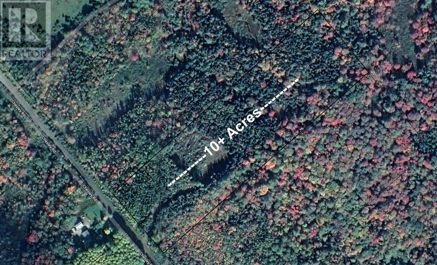 Pid 60273794 Chesley Road, Barss Corner, Nova Scotia  B0R 1E0 - Photo 2 - 202501788