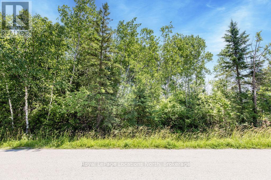 Pt Lts 139 & 140 Thomas Street, Wasaga Beach, Ontario  L9Z 0E9 - Photo 4 - S11944381