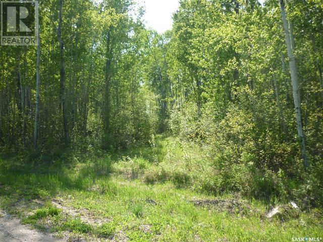 Property at 4 Smits AVENUE image 1