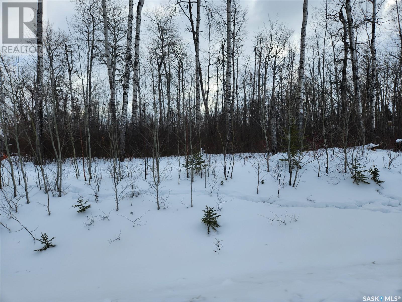 3 Smits Avenue, Codette, Saskatchewan  S0E 0P0 - Photo 7 - SK993749