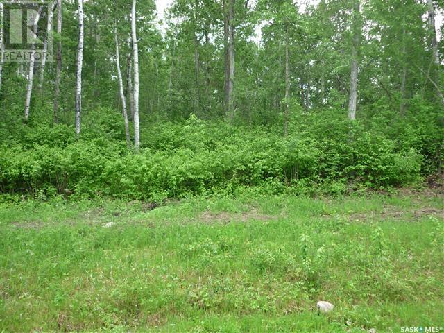 1 Smits Avenue, Nipawin Rm No. 487, Saskatchewan  S0E 0P0 - Photo 1 - SK993740
