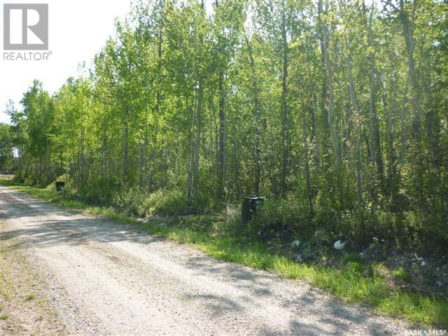 1 Smits Avenue, Nipawin Rm No. 487, Saskatchewan  S0E 0P0 - Photo 4 - SK993740