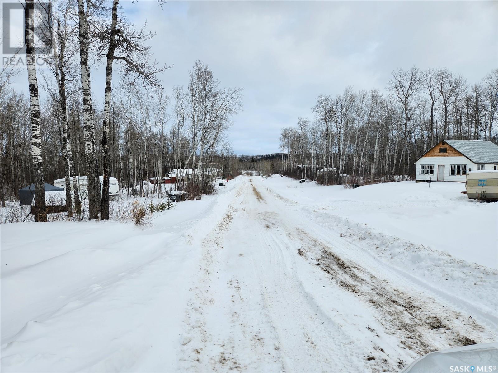 1 Smits Avenue, Nipawin Rm No. 487, Saskatchewan  S0E 0P0 - Photo 8 - SK993740