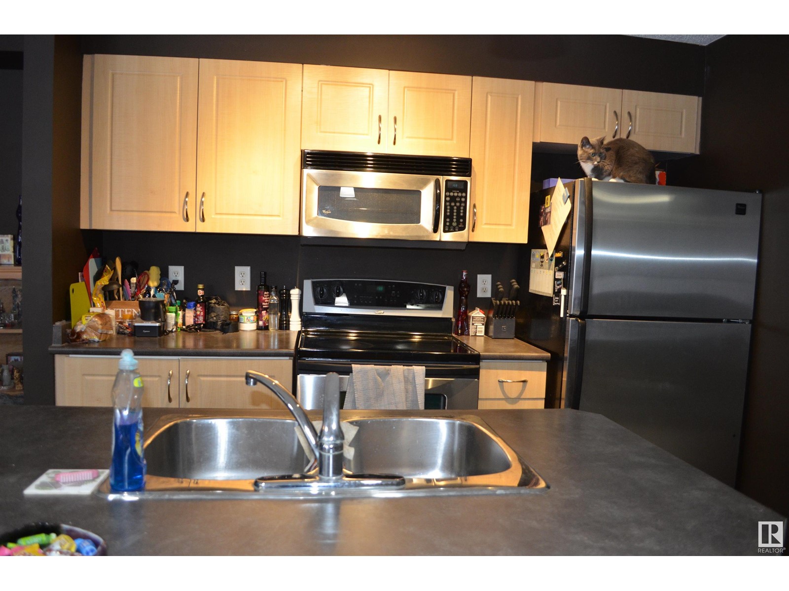 Property at #111 11445 ELLERSLIE RD SW SW image 5