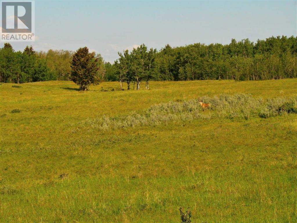 Glenbow Rd. & Mountain Ridge Place Road, Rural Rocky View County, Alberta  T0L 0W0 - Photo 10 - A1245685