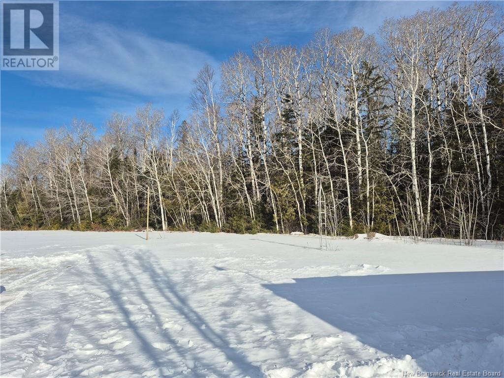 2939 Middle River, Middle River, New Brunswick  E2A 6X9 - Photo 21 - NB111826