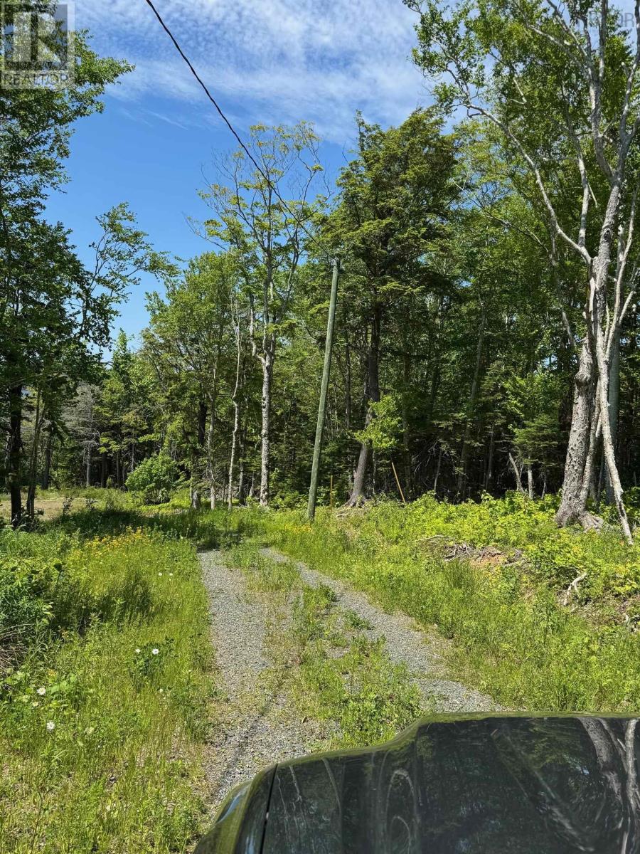 120 Rodney Drive, Militia Point, Nova Scotia  B0E 2Y0 - Photo 16 - 202425101