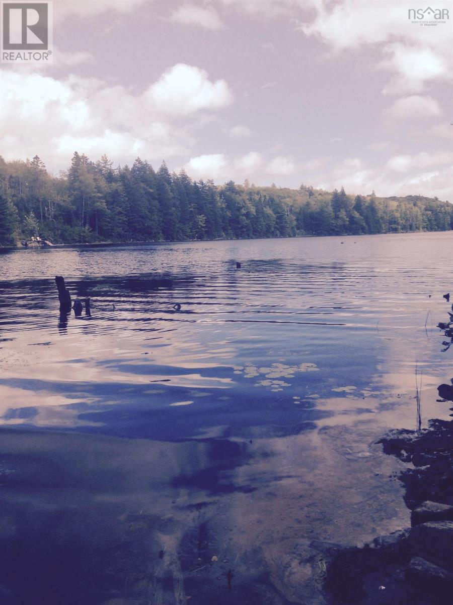 409 Highway 224, Sheet Harbour, Nova Scotia  B0J 3B0 - Photo 20 - 202501845