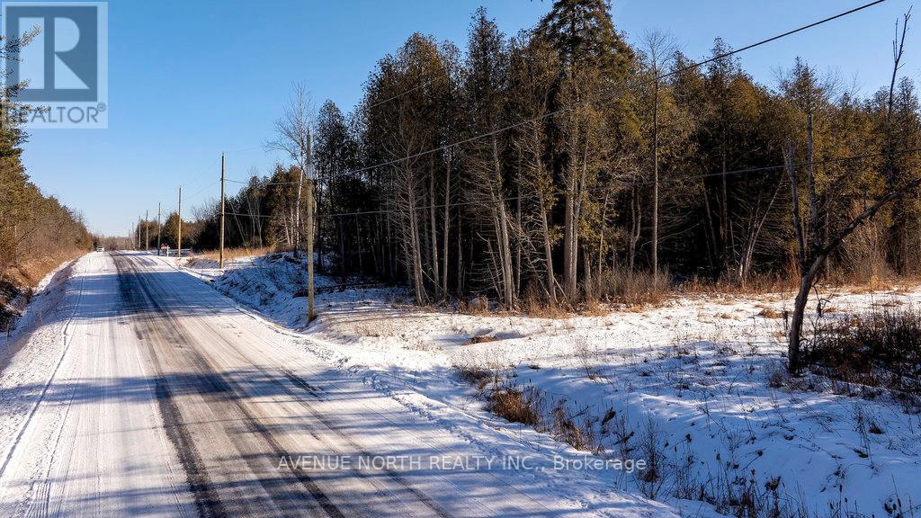 6236 Nick Adams Road, Ottawa, Ontario  K4P 1H2 - Photo 5 - X11941990