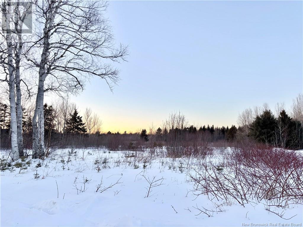 24.95 Acres Burnt Church Road, Burnt Church, New Brunswick  E9G 4C8 - Photo 1 - NB111904