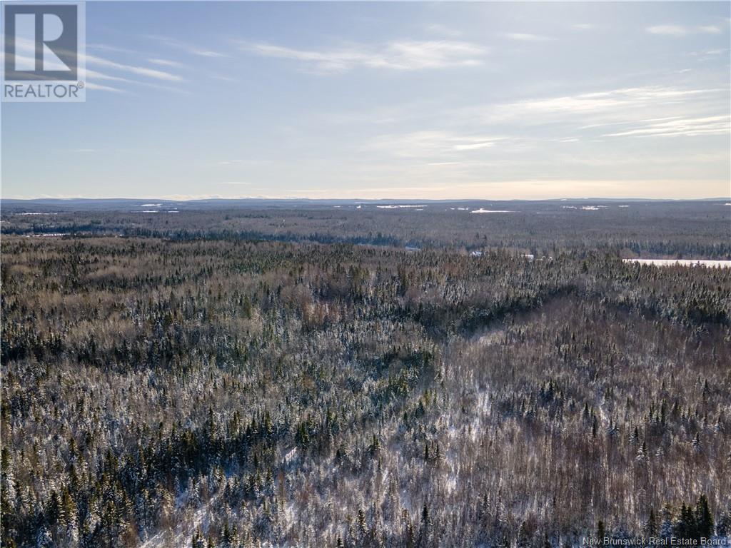 Lot 14 Mollins Road, Colpitts Settlement, New Brunswick  E4J 2X4 - Photo 25 - NB111801