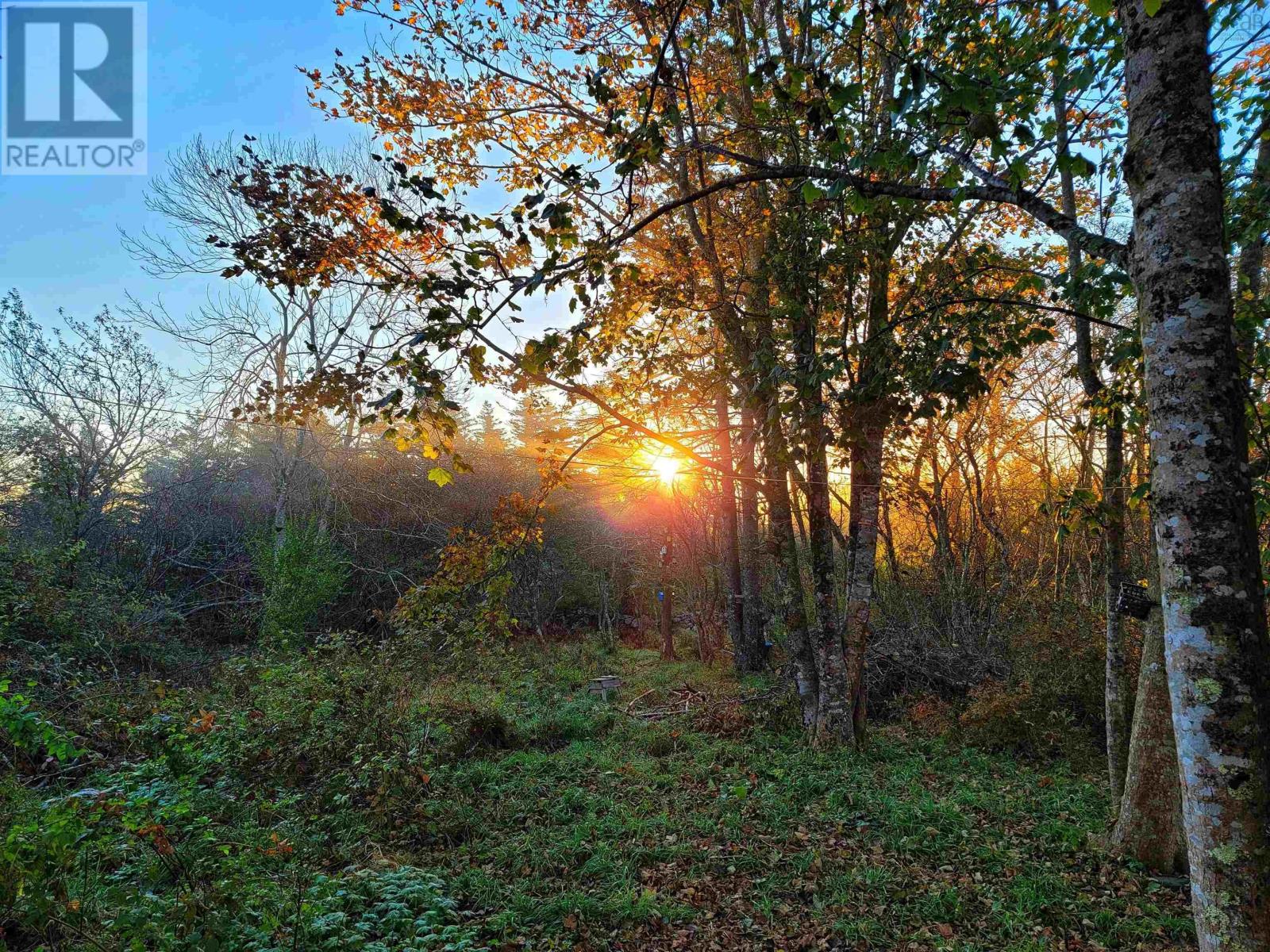 377 Pleasant Street, Yarmouth, Nova Scotia  B5A 4H5 - Photo 4 - 202501880