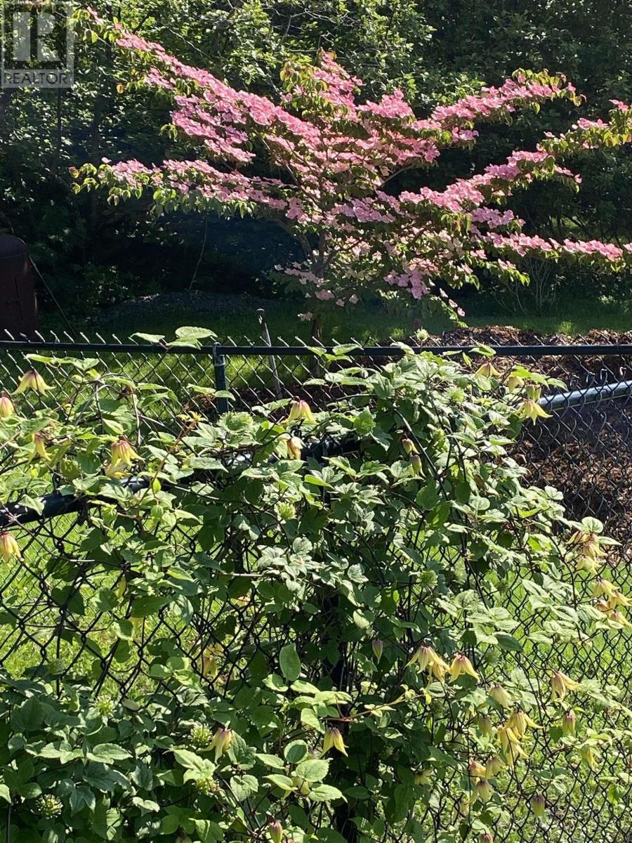 118 Beech Hill Road, Hunts Point, Nova Scotia  B0T 1G0 - Photo 39 - 202501866