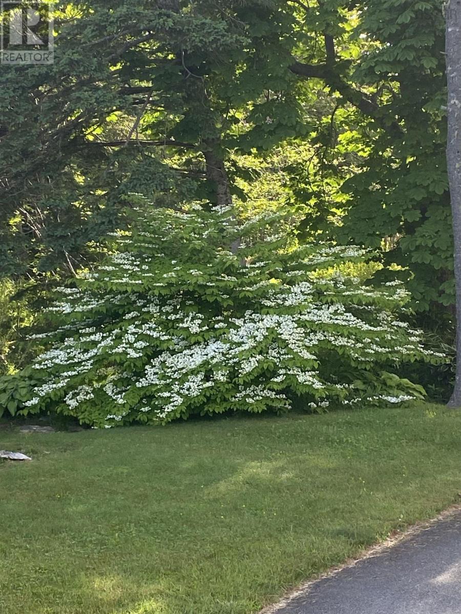 118 Beech Hill Road, Hunts Point, Nova Scotia  B0T 1G0 - Photo 41 - 202501866