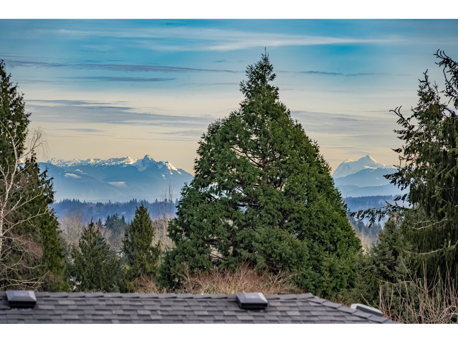 1272 160 Street, Surrey, British Columbia  V4A 7T7 - Photo 40 - R2957066